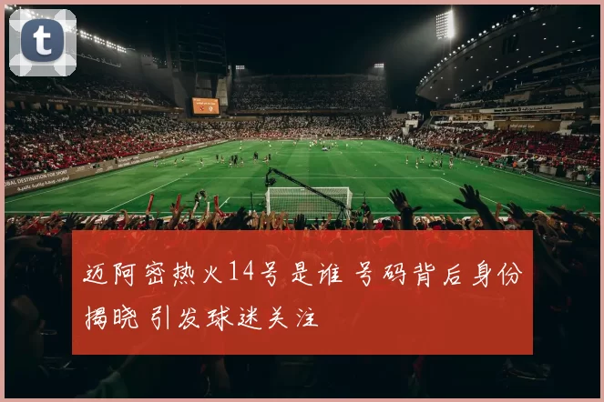 迈阿密热火14号是谁 号码背后身份揭晓 引发球迷关注