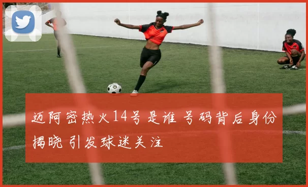 迈阿密热火14号是谁 号码背后身份揭晓 引发球迷关注