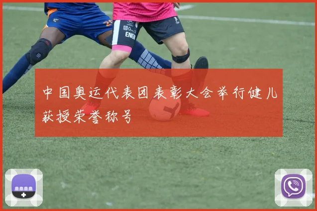 中国奥运代表团表彰大会举行健儿获授荣誉称号