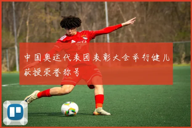 中国奥运代表团表彰大会举行健儿获授荣誉称号