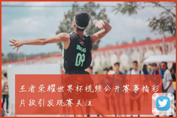 王者荣耀世界杯视频公开赛事精彩片段引发观赛关注