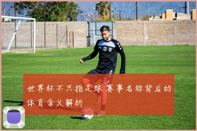 世界杯不只指足球 赛事名称背后的体育含义解析